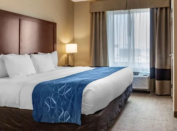 Comfort Suites Airport - University hotel detail image 4