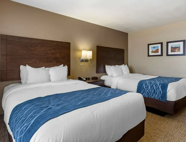 Comfort Inn & Suites Waterloo - Cedar Falls hotel detail image 4