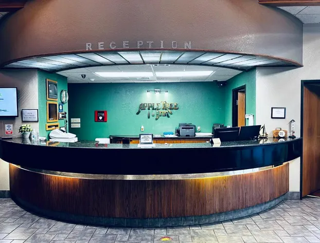 Apple Tree Inn and Suites hotel detail image 3