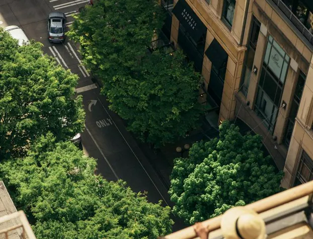 Hotel Theodore Seattle Downtown, Tapestry by Hilton hotel detail image 3