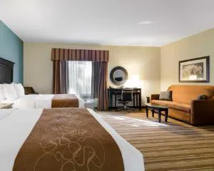 Comfort Suites Topeka Northwest hotel detail image 4