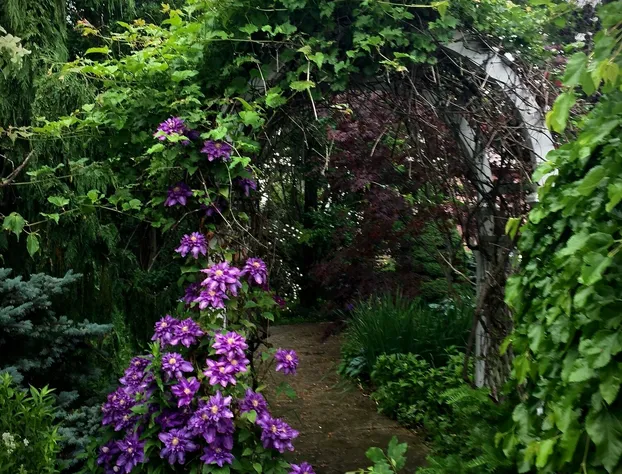 Swan Motel hotel detail image 4