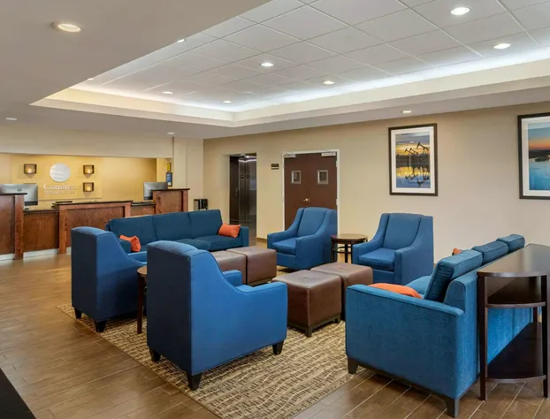 Comfort Inn & Suites Port Arthur-Port Neches hotel detail image 3