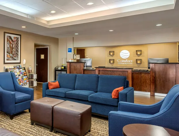 Comfort Inn & Suites Port Arthur-Port Neches hotel detail image 2