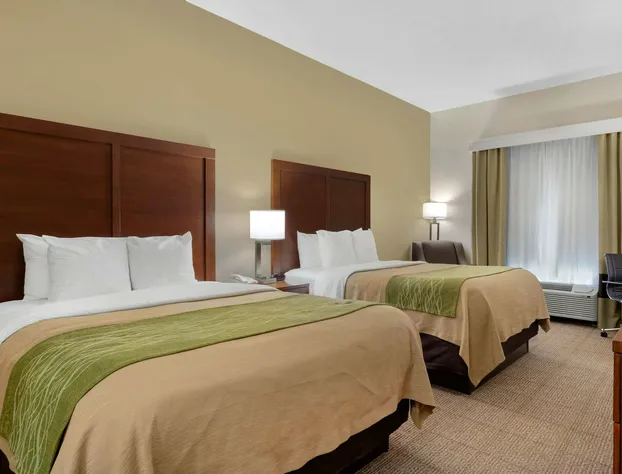 Comfort Inn & Suites Port Arthur-Port Neches hotel detail image 4