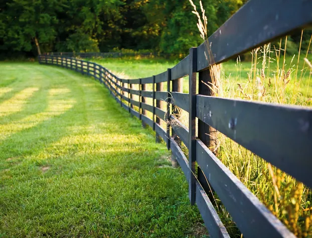 Pillow and Paddock B&B hotel detail image 4