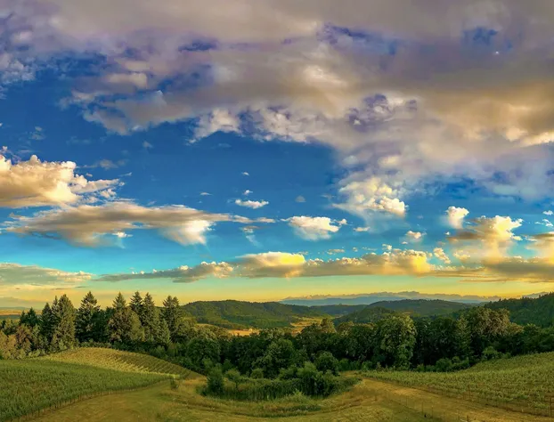 Youngberg Hill hotel detail image 3