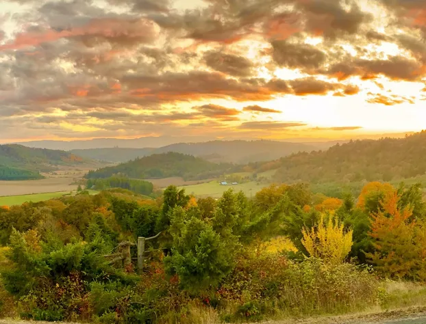 Youngberg Hill hotel detail image 4