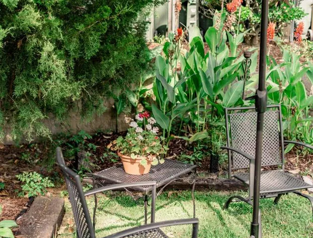 Meadows Inn Bed & Breakfast hotel detail image 1