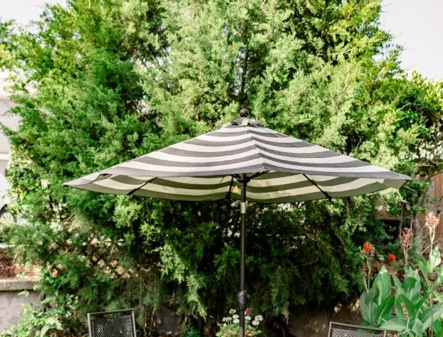 Meadows Inn Bed & Breakfast hotel detail image 2