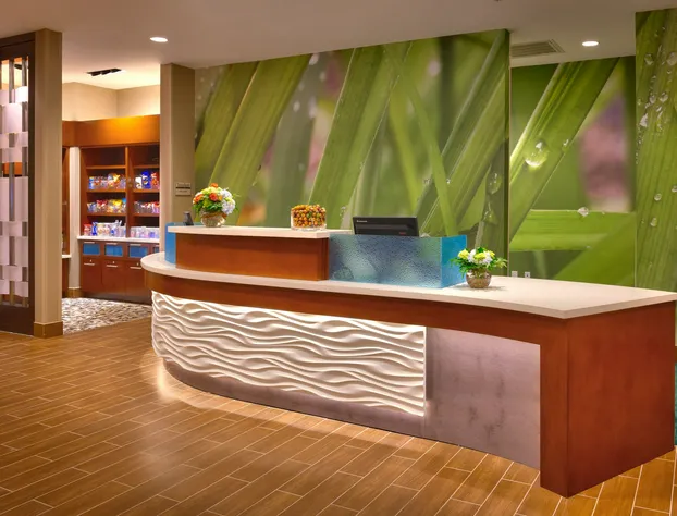 Springhill Suites Houston I-45 North hotel detail image 2