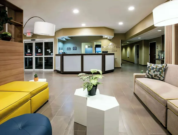 Microtel Inn & Suites By Wyndham Pecos hotel detail image 3