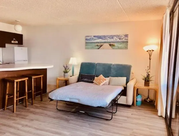 French Banyan hotel detail image 4