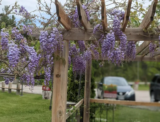 The Ashwood hotel detail image 1