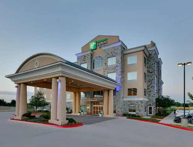Holiday Inn Express & Suites San Antonio - Brooks City Base by IHG hotel detail image 3