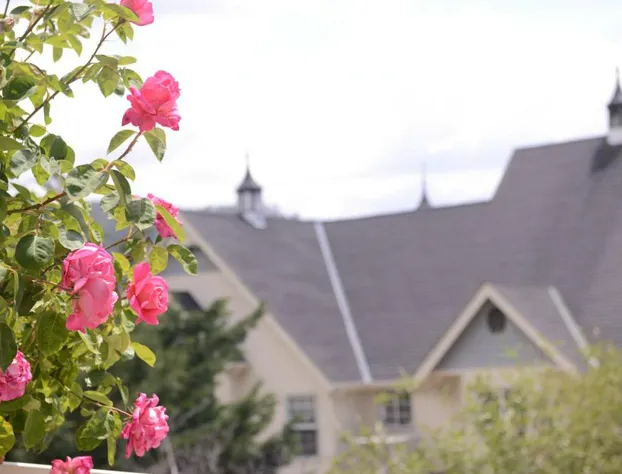 Hounds Tooth Inn hotel detail image 4