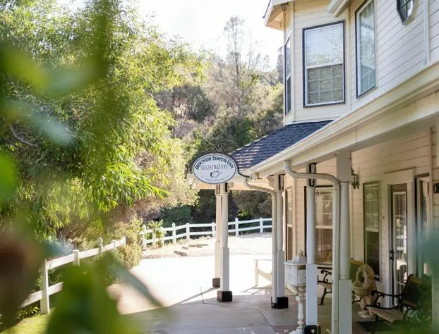 Hounds Tooth Inn hotel detail image 4