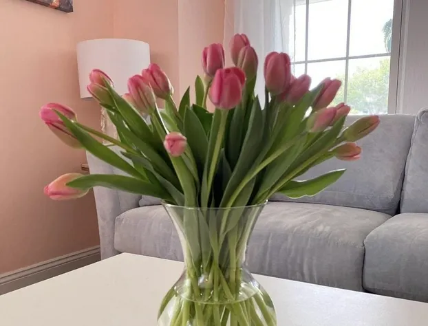 SaltWater Inn hotel detail image 2