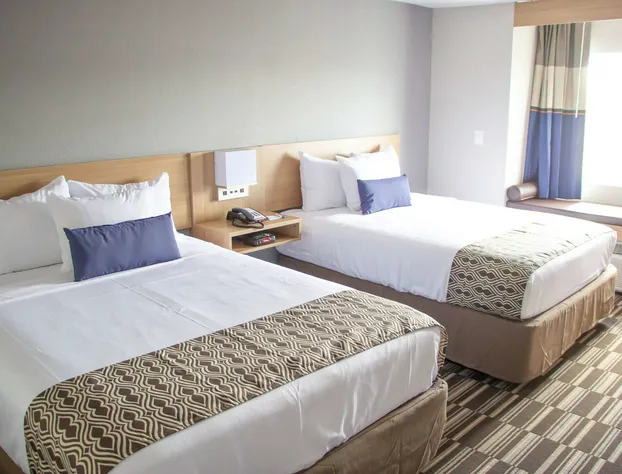 Microtel Inn & Suites by Wyndham Camp Lejeune/Jacksonville hotel detail image 3