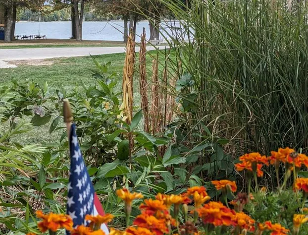 Beach Harbor Resort hotel detail image 3