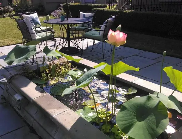 Hilltop Inn hotel detail image 4