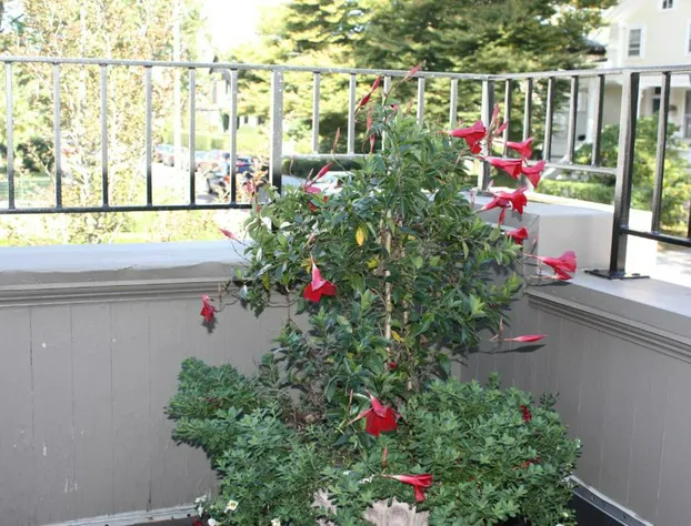 Hilltop Inn hotel detail image 4