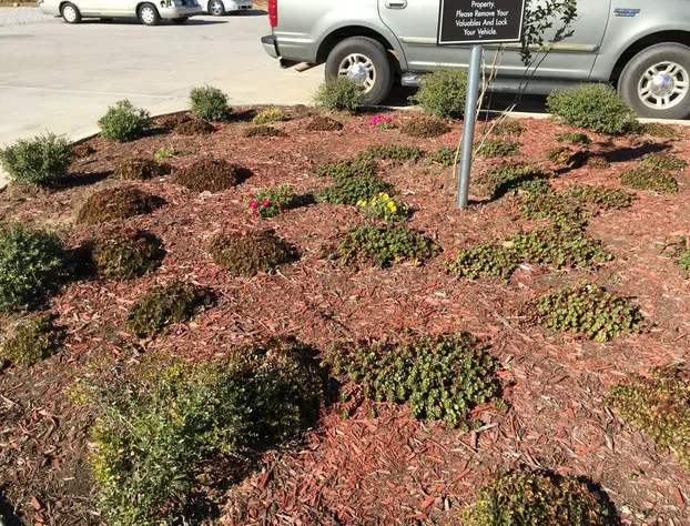 Sleep Inn & Suites Meridian - Bonita Lakes hotel detail image 4