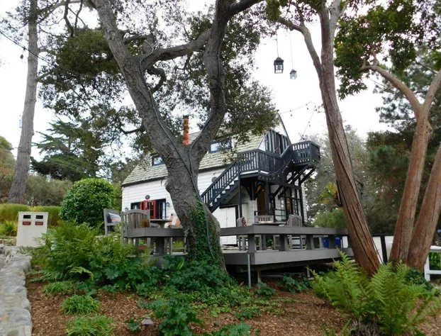 Forest Lodge hotel detail image 1