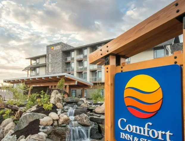 Comfort Inn & Suites hotel detail image 1