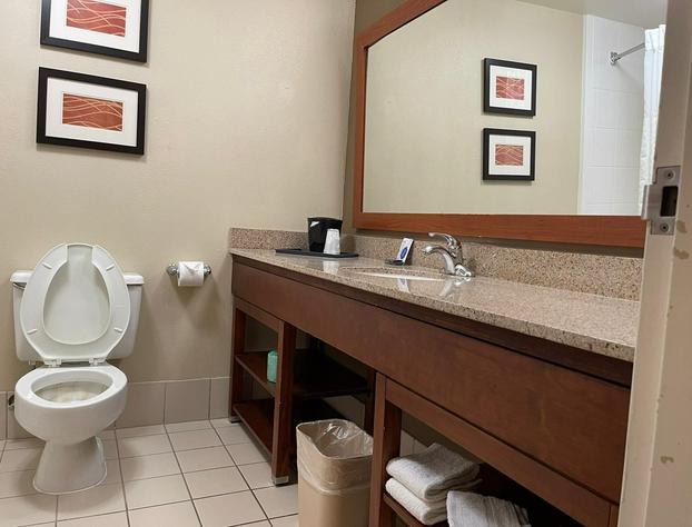 Comfort Inn & Suites Plano East hotel detail image 4