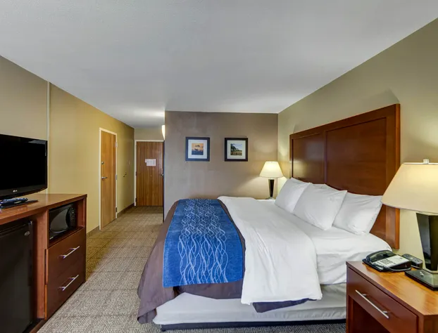 Comfort Inn & Suites Plano East hotel detail image 3