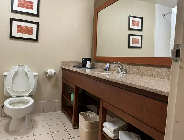 Comfort Inn & Suites Plano East hotel detail image 4