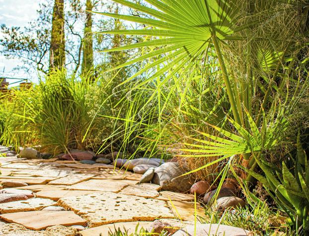 Sierra Grande, A Ted Turner Retreat hotel detail image 4