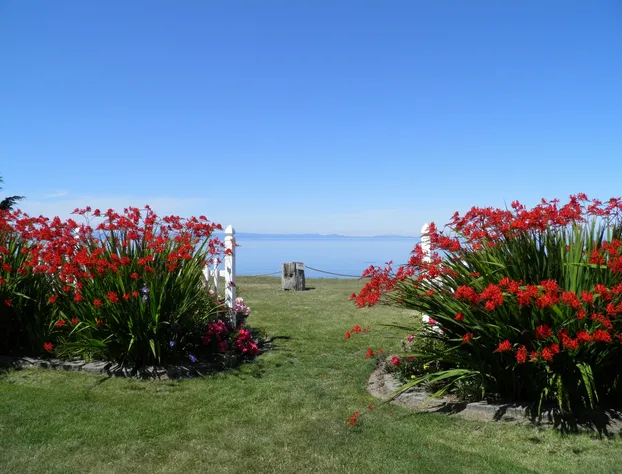 Sea Cliff Gardens Bed & Breakfast hotel detail image 3