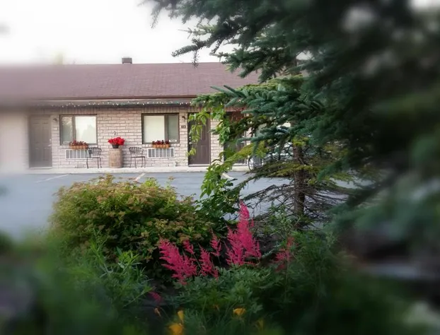 Motel Alexandrin hotel detail image 2