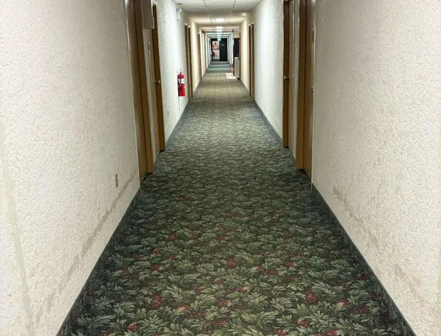 Maple Creek Motor Inn hotel detail image 2