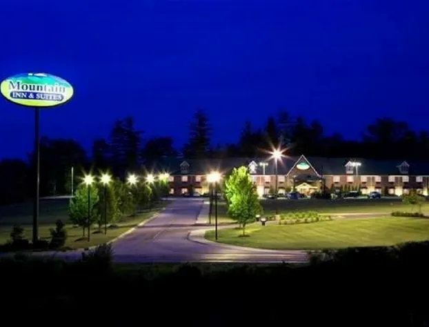 Mountain Inn & Suites hotel detail image 3