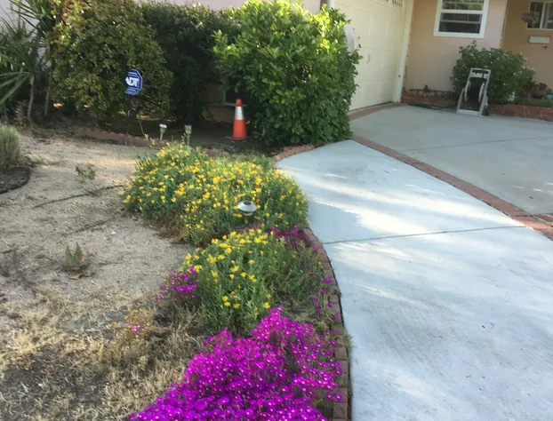 Sunshine LA BnB hotel detail image 1