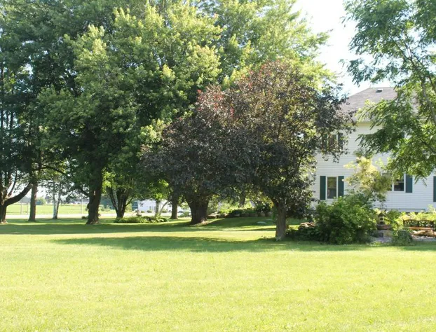 Terrace Green Bed & Breakfast hotel detail image 4