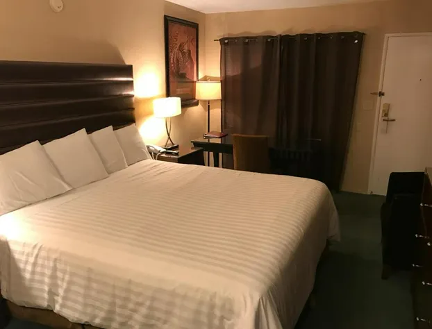 Discovery Inn hotel detail image 4