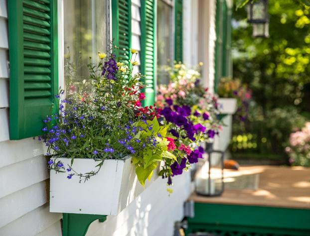 The Woodstocker B&B hotel detail image 3