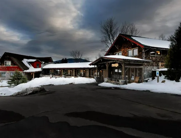 Adirondack Spruce Lodge hotel detail image 2