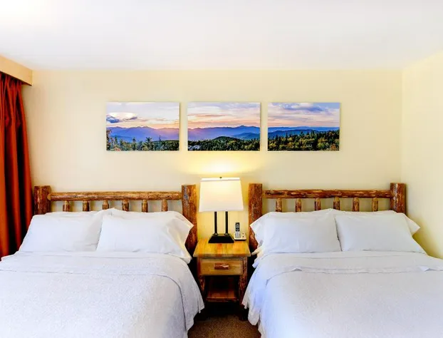 Adirondack Spruce Lodge hotel detail image 1