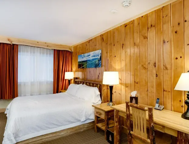 Adirondack Spruce Lodge hotel detail image 4