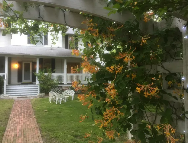 Fig Street Inn hotel detail image 4