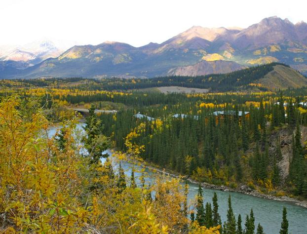 Denali Grizzly Bear Resort hotel detail image 4