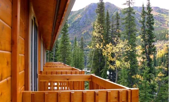 Denali Grizzly Bear Resort hotel detail image 3