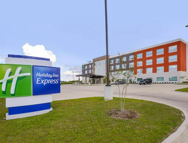Holiday Inn Express Donaldsonville by IHG hotel detail image 1
