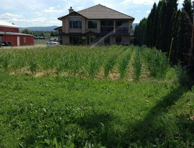 All Seasons Bed & Breakfast hotel detail image 1