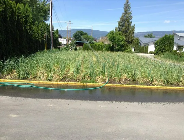 All Seasons Bed & Breakfast hotel detail image 3